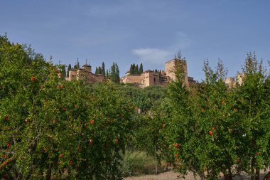 İspanya 'daki Cordoba bahçelerinden Granada' da anıtsal Alhambra. 