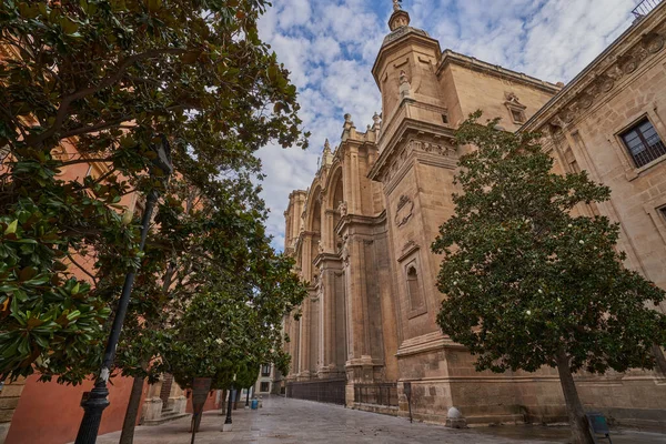 Blick auf die Kathedrale von Granada in Spanien — Stockfoto