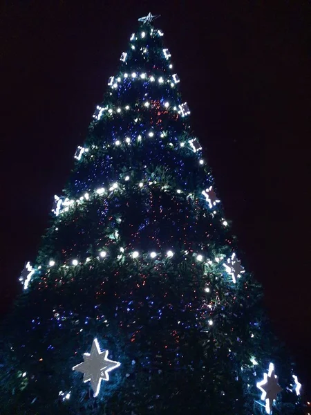 Arbre Noël Sombre Veille Nouvel — Photo