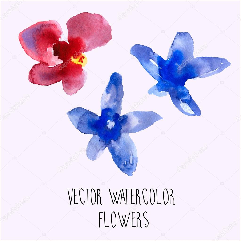 Vector watercolor orchid flowers pack