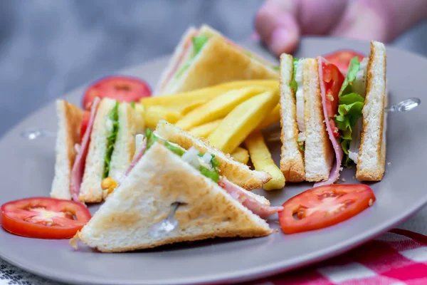 Panino Club Fette Disposte Piatto Grigio Con Pomodori Patatine Fritte — Foto Stock