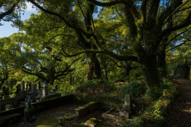 Nagasaki 'deki Arakisotaro Mezarlığı, Japonya, Kyushu, Nagasaki, yazın güneşli bir günde..