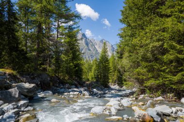 Dranse de Ferret nehri Avrupa, İsviçre, Valais, yazın güneşli bir günde.
