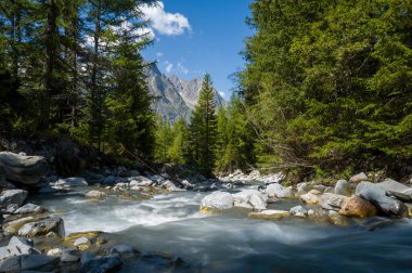 Dranse de Ferret nehri Avrupa, İsviçre, Valais, yazın güneşli bir günde.