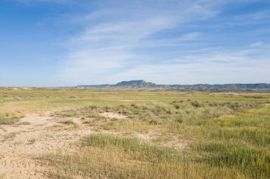 Yazın güneşli bir günde, Avrupa, İspanya ve Navarre 'daki Bardenas Reales' teki yeşil alanlar ve uçurumlar.