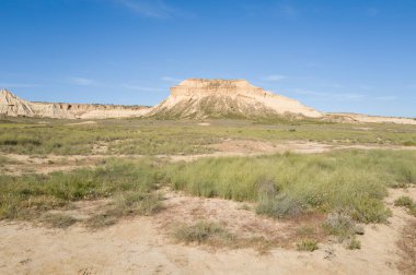 Yazın güneşli bir günde, Avrupa, İspanya ve Navarre 'daki Bardenas Reales' teki yeşil alanlar ve uçurumlar.