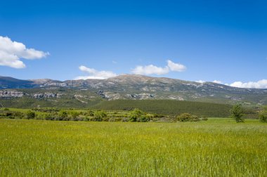 Avrupa, İspanya, Aragon, Huesca, Samitier çevresindeki tarlalar ve dağlar güneşli bir günde.