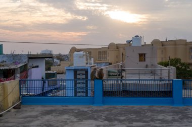 Agra 'da maymunlarla dolu çatı Asya' da, Hindistan 'da, Uttar Pradesh' te, Agra 'da, yazın güneşli bir günde.