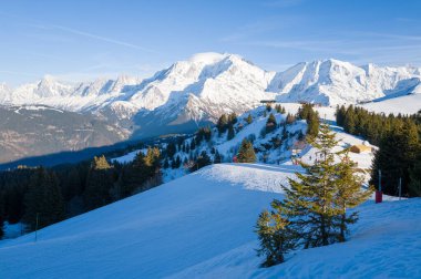 Avrupa, Fransa, Megeve 'deki yamaçların ortasındaki köknar ağacı, Auvergne Rhone Alpes, Haute Savoie, Megeve, yazın güneşli bir günde.