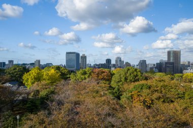 Fukuoka, Japon - 106 2024: Fukuoka 'da şehir manzarası, Asya, Japonya, Kyushu, Fukuoka, yazın güneşli bir günde. .