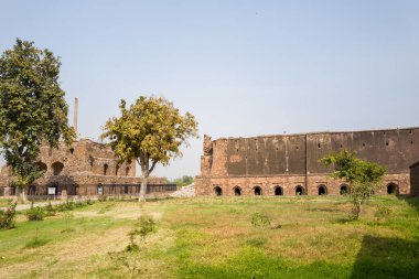Delhi, Inde - 03: 29: 2024: Güneşli bir günde, Delhi, Hindistan, Delhi 'deki Feroz Shah Kotla Kalesindeki Jami Mescid Camii. .