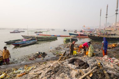 Varanasi, Inde - 03 19 2024: Manikarnika ghat 'taki işçilerin önündeki köpek Asya, Hindistan, Uttar Pradesh, Varanasi, yaz mevsiminde, güneşli bir günde. .