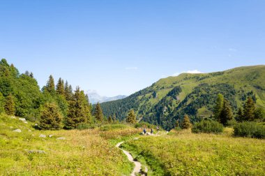 Saint Gervais les Bains, Fransa - 08: 24 2024: Güneşli bir günde Avrupa, Fransa, Auvergne Rhone Alpes, Haute Savoie dağları arasındaki yürüyüş yolu. .