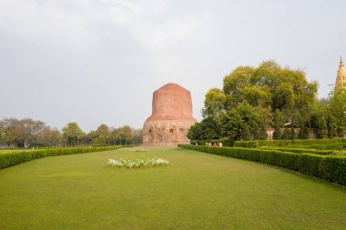 Sarnath, Inde - 03 19 2024: Sarnath, Hindistan 'daki Dhamekh Stupa, Uttar Pradesh, Sarnath, yazın, güneşli bir günde. .