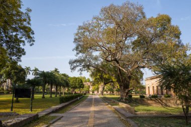 Lucknow, Inde - 03: 15: 2024: Lucknow, Hindistan, Uttar Pradesh, Lucknow 'da bir konutun garaj yolu, güneşli bir günde. .