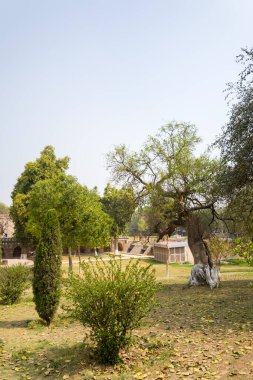Delhi, Inde - 03: 30 2024: Alai Daewaza Gate ve Kutub Minar, Delhi, Hindistan, Delhi 'de güneşli bir günde yaz mevsimi. .