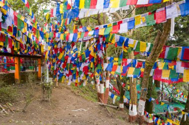 Darjeeling, Inde - 03 26 2024: Darjeeling 'deki Mahakal Tapınağı, Asya, Hindistan, Batı Bengal, Darjeeling, yazın güneşli bir günde. .