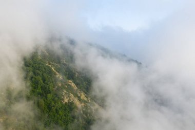 Aerial perspective of a green mountain ridge in the Pyrenees with rocky outcrops, partially shrouded by soft morning fog. The mist creates a serene and dreamy atmosphere above the lush forest.