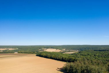 Hava perspektifi, Cuncy les Varzy yakınlarındaki kırsal alanda açık mavi gökyüzünün altında yoğun yeşil ormanlarla buluşan geniş altın alanları yakalar. Keskin ufuk ve açık alan, merkezi karakteristik bir sükunet ve minimalizm hissi uyandırır.