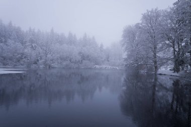 Lac du Haut Folin 'de sakin bir göl karla kaplı ağaçları ve sisli bir kış gökyüzünün altındaki buzlu ormanı yansıtır. Yumuşak ışık ve sessiz tonlar sakin ve sakin bir atmosferi çağrıştırıyor..