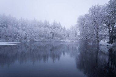 Lac du Haut Folin 'deki sakin bir kış gölü, kıyı boyunca karla kaplı ağaçlar ve buzlu her bitkiyi yansıtır. Sisli ışık ve yumuşak gölgeler, buzlu dokuları ve sakin ruh haliyle barışçıl, atmosferik bir manzara yaratır..