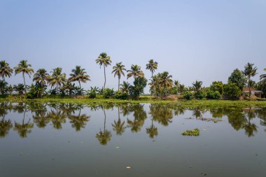 Bir sıra palmiye ağacı ve yoğun tropikal bitkiler Alappuzha, Kerala 'daki durgun bir su yüzeyine yansıyor. Sakin sahne, berrak mavi gökyüzünü ve suların kenarında yemyeşil bir havayı yansıtıyor..