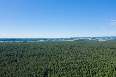 Morvan bölgesinde ufka uzanan yoğun yeşil çam ağaçlarının geniş hava manzarası, uzak tepeler ve bulutsuz yaz gökyüzü altında dağınık tarlalar..