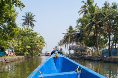 Canlı mavi bir kano, Kerala 'nın Alappuzha kentindeki yemyeşil palmiye ağaçları ve köy evleriyle dolu dar bir kanal boyunca ilerliyor. Güneş ışığı, tropikal yaprakların arasından süzülüp, parlak ve sakin bir manzara yaratır..