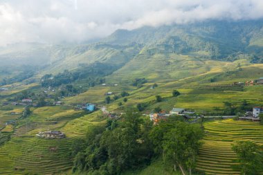 Nazikçe yuvarlanan pirinç tarlaları dağınık kırsal evlerle kaplı. Sapa, Vietnam yakınlarındaki sisli yeşil tepeler boyunca uzanıyor. Yumuşak sabah ışığı ve sürüklenen bulutlar sakin, davetkar bir manzara yaratır..