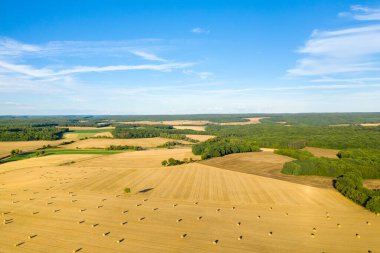 Hava perspektifi, yoğun yeşil ormanlık ve yuvarlanan tepelerle çevrili, saman balyalarıyla benekli güneşli tarlalardan oluşan bir demet sergiliyor. Canlı mavi gökyüzü ve dağınık bulutlar orta Fransa 'nın tipik kırsal alanını vurgular.