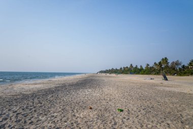 Vast sandy beach stretches along the Arabian Sea in Alappuzha, India, with gentle surf and a line of palm trees under a clear sky. The open landscape and soft light evoke a sense of solitude and calm.