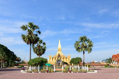 Luang 'ın, Vientiane Laos' taki palmiye ağaçlarının ve manikürlü bahçelerin arkasından yükselen ikonik altın stupası. Parlak güneş ışığı ve berrak gökyüzü, çarpıcı mimari ve huzur dolu açık hava ortamlarını vurguluyor..