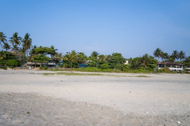 Hindistan 'ın Alappuzha kentindeki geniş kumlu sahil. Berrak mavi gökyüzünün altında yemyeşil palmiye ağaçları ve alçak katlı villalarla çevrili. Parlak gün ışığı ve açık alan rahatlatıcı, davetkar bir atmosfer yaratır..