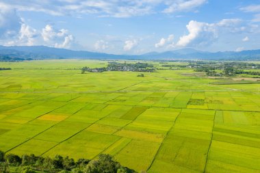 Geniş yeşil pirinç tarlaları, Dien Bien Phu yakınlarındaki geniş bir ovada uzak köyler ve parlak bir gökyüzünün altında mavi dağlarla geometrik bir mozaik oluşturur. Kabarık bulutlar ve güneş ışığı taze ve açık manzarayı güçlendirir..