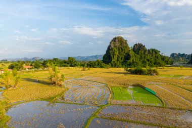 Altın pirinç tarlaları ve canlı bir yeşil kreş, açık mavi bir gökyüzünün altında yükselen dramatik kireçtaşı tepenin altında, su basmış yansıtıcı arazilerle sınırlıdır. Manzara geometrik tarımsal desenleri ve yemyeşil bitkileri yakalar.
