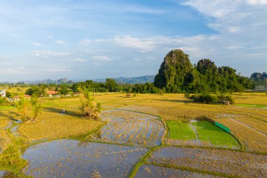 Altın pirinç tarlaları ve canlı bir yeşil kreş, açık mavi bir gökyüzünün altında yükselen dramatik kireçtaşı tepenin altında, su basmış yansıtıcı arazilerle sınırlıdır. Manzara geometrik tarımsal desenleri ve yemyeşil bitkileri yakalar.