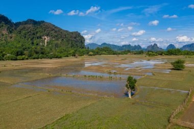 Geometrik pirinç tarlaları, yemyeşil orman ve çarpıcı karst tepeleriyle çevrili, canlı mavi bir gökyüzü altında, kırsal bir düzlük boyunca suyla dolu. Sakin manzara doğal desenleri ve Laos 'un tipik açık manzarasını yakalar.