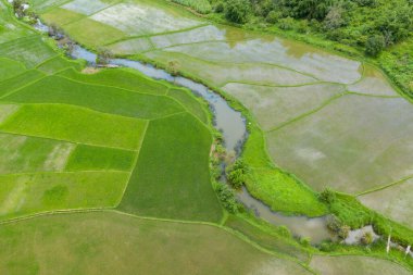 Yeşil ve bronzlaşmış geometrik pirinç tarlaları Laos 'un kırsal kesimindeki yemyeşil bitki örtüsüyle çevrili kıvrımlı bir akarsu ile bölünmüştür. Hava perspektifi, yaz boyunca karmaşık desenleri ve doğal dokuları ortaya çıkarır..