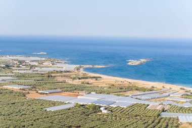 Kumlu kıyı şeridine ve Girit 'teki açık mavi Falasarna denizine uzanan sera ve zeytin ağaçlarının geniş manzarası. Manzara güneşli, açık ve sakin, yumuşak Akdeniz renkleriyle.