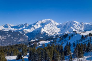 Mont Blanc 'ın yoğun bir çam ormanının üzerinde yükselen geniş manzarası ve canlı mavi kış gökyüzünün altında karlı yamaçlar. Kıtır güneş ışığı dramatik tepeleri ve el değmemiş alp manzarasını vurgular.