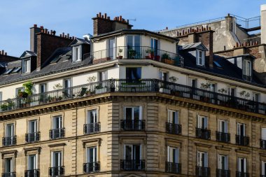 Paris 'teki Ile Saint-Louis' de Sunlit Haussmann tarzı bir apartman, dövmeli demir balkonlar ve saksı bitkileri ve yeşilliklerle süslenmiş geniş bir çatı terası..