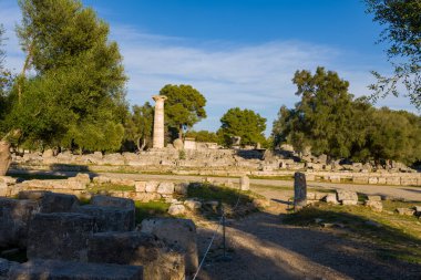 Antik taş kalıntıları ve Yunanistan 'ın Olympia kentindeki dağınık harabeler ve olgun zeytin ağaçları arasında yükselen Zeus Tapınağı' ndan tek bir ayakta duran sütun. Sıcak öğleden sonra güneşi, açık mavi bir gökyüzünün altında arkeolojik arazide uzun gölgeler oluşturur..