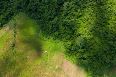 Yoğun yeşil orman ile açık otlaklar arasındaki keskin sınırın havadan görünüşü ve Phou Khoun ile Luang Prabang, Laos kırsalında yalnız bir kulübe. Manzara canlı dokular, doğal desenler ve zıtlıklar içerir.