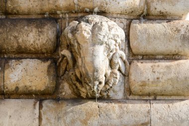 Paris 'teki Le Pont Notre Dame' da, ağzından su damlayan yaşlı bir koçbaşı taşının yakın çekimi. Dokulu duvar ustası ve güneş ışığı yüzeyi bu tarihi mimari elementin karmaşık detaylarını vurguluyor..