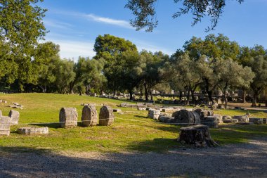 Pelopion 'un yıpranmış taş blokları ve dairesel sütun davulları Yunanistan' ın Olympia kentindeki olgun zeytin ağaçları arasındaki çimenli arazide dinleniyor. Yumuşak güneş ışığı, bu tarihi tapınaktaki arkeolojik dokuları ve sakin doğal çevreyi vurguluyor..