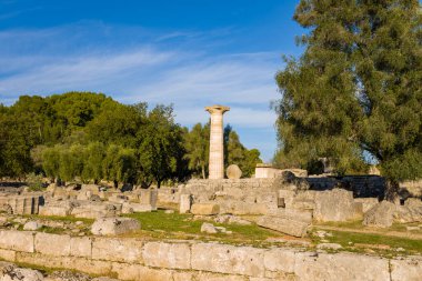 Antik taş kalıntıları ve Zeus Tapınağı 'ndan kalma bir sütun, Yunanistan' ın Olympia kentindeki gür ağaçlar ve dağınık harabeler arasında yükseliyor. Sıcak öğleden sonra ışığı, açık mavi gökyüzünün altındaki dokulu ve canlı yeşilliği vurguluyor..