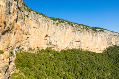 Gorges de Ardeche 'deki sık yeşil bir ormanlık üzerinde keskin bir şekilde yükselen uzun soluk kireç taşı uçurumunun geniş bir manzarası. Parlak güneş ışığı, parlak mavi gökyüzünün altındaki engebeli taş yüzeyini aydınlatan parlak gölgeler saçar..
