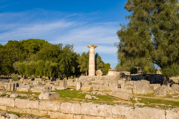 Antik taş kalıntıları ve Zeus Tapınağı 'ndan kalma bir sütun, Yunanistan' ın Olympia kentindeki gür ağaçlar ve dağınık harabeler arasında yükseliyor. Sıcak öğleden sonra ışığı, açık mavi gökyüzünün altındaki dokulu ve canlı yeşilliği vurguluyor..