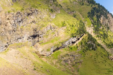 Parlak güneş ışığı, Pireneler 'deki çam ağaçları kümeleriyle benekli, çıplak kaya katmanları ve yeşil çimlerle kaplı engebeli bir dağ yamacını aydınlatır. Dik arazi ve dokulu uçurumlar dinamik bir alp manzarası yaratır..