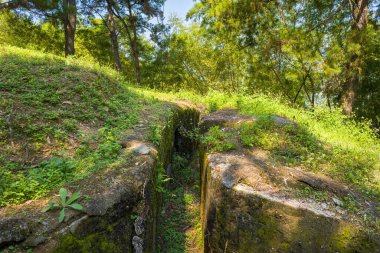Vietnam 'ın Dien Bien Phu kentindeki güneşli bir ormanın içinde yosun ve çimlerle kaplanmış beton bir siper. Uzun çam ağaçları ve yoğun yeşillik huzurlu ve doğal bir ortam yaratır..